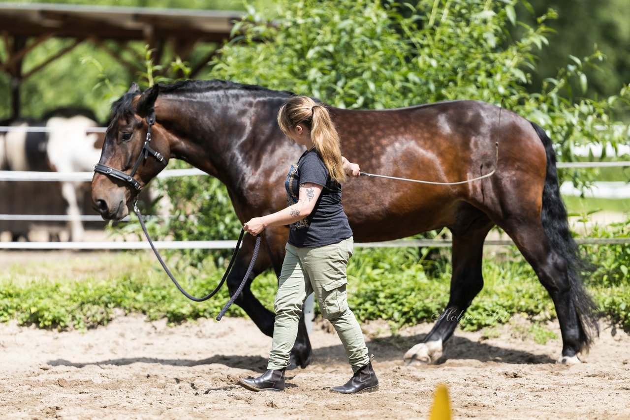 Bild 34 - Vivi